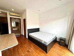 Holland Link (D10), Terrace #598171941